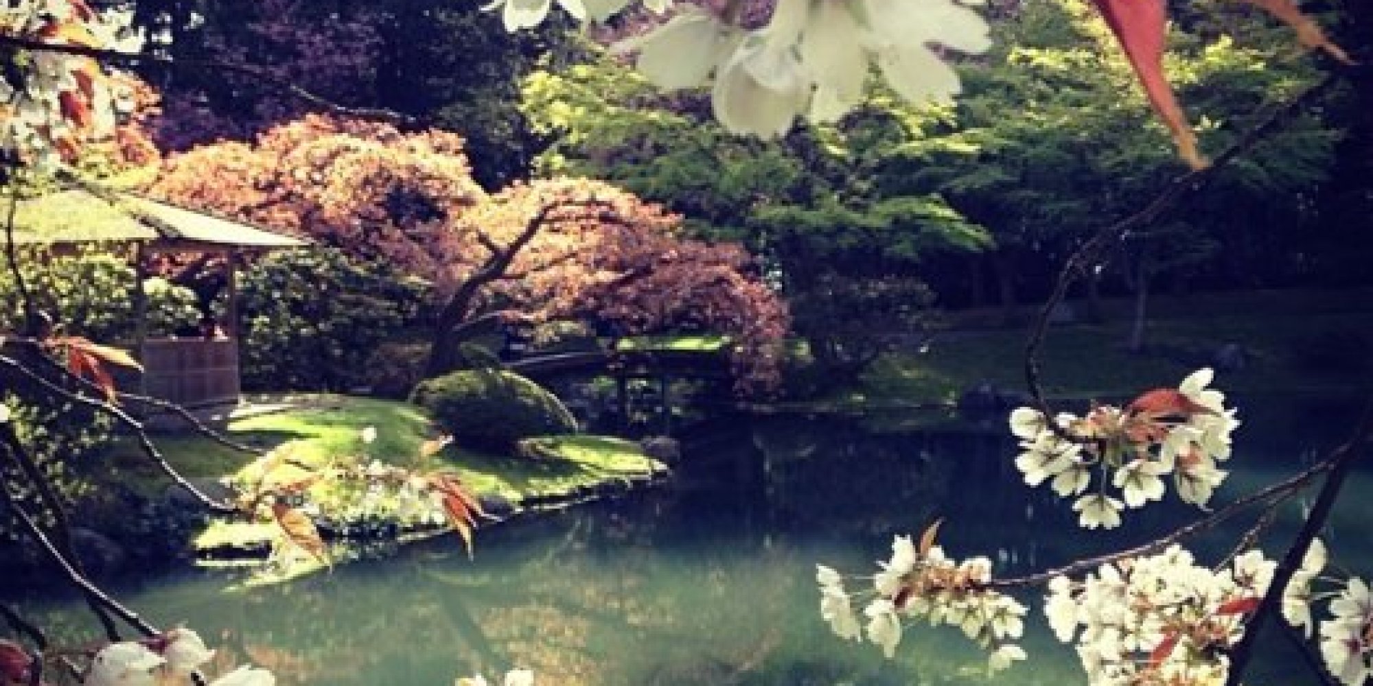 Garden Meditation Day: These Beautiful Pictures Of Green, Open Spaces