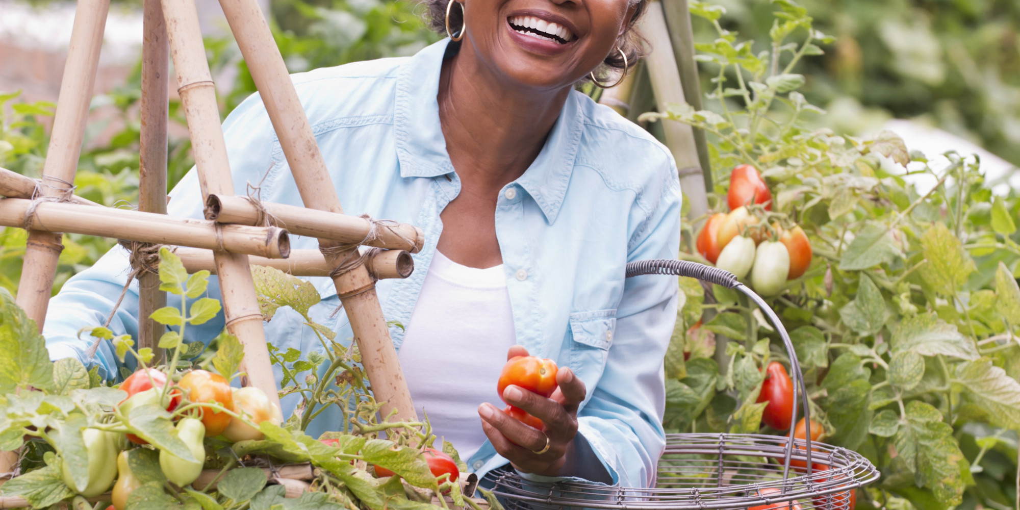 Alzheimer�s Four Activities You Can Do to Help Your Loved