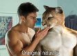 france gay video
