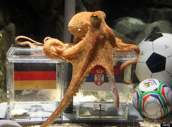 World Octopus