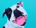 Artist Paints Michael Vick Pit Bulls, Is 'Grateful To These Dogs For Changing My Life'