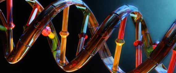 Modification ADN