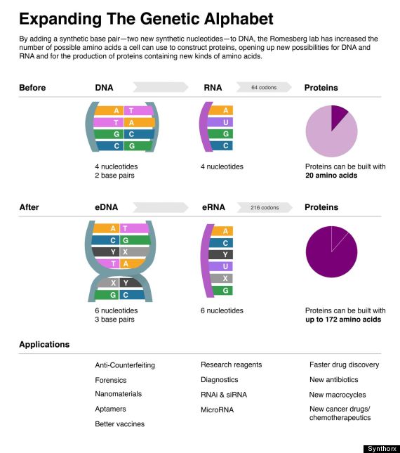 artificial dna