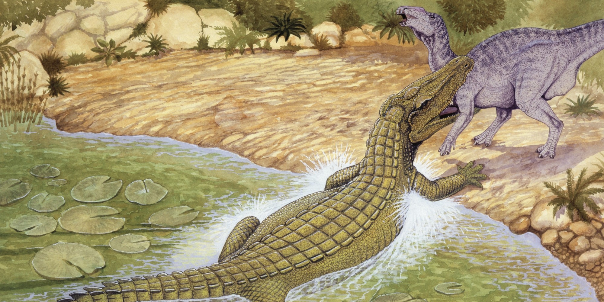 alligator type dinosaur