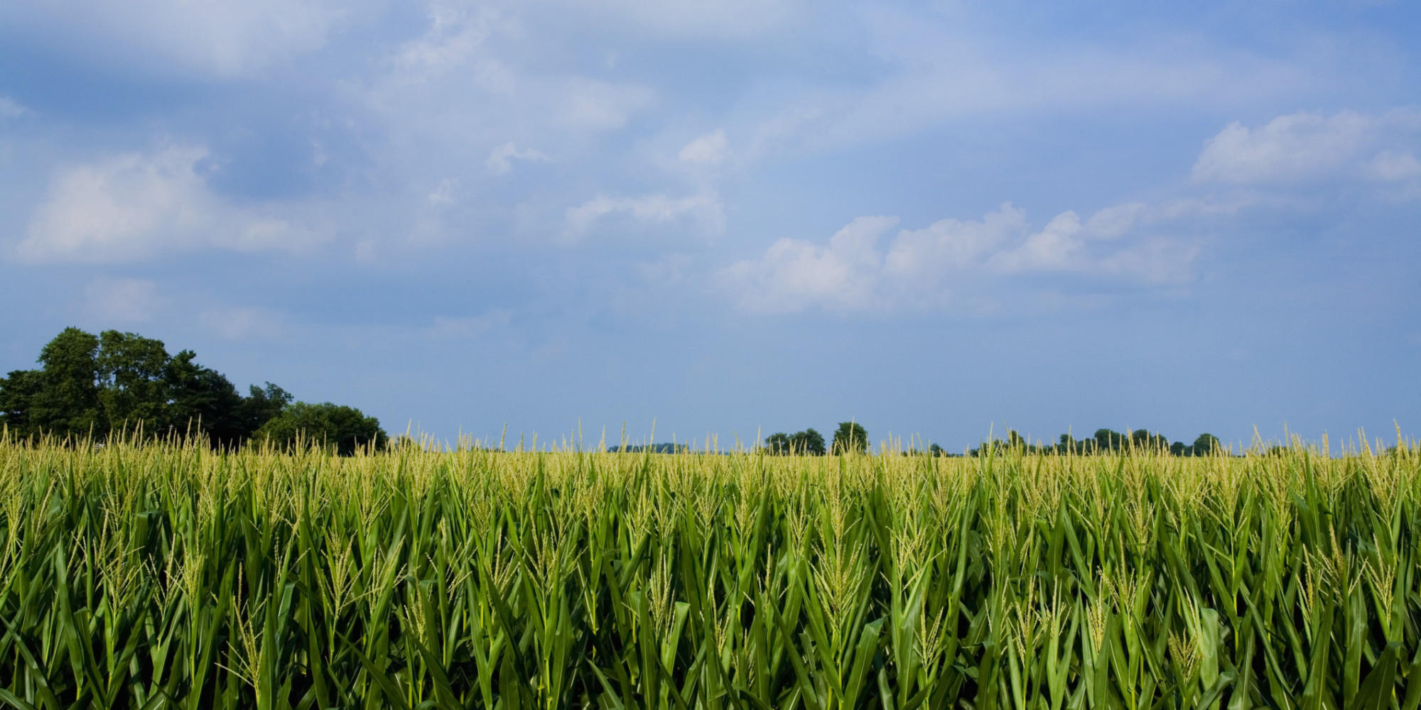 50 Photos That Prove America Is Totally Beautiful HuffPost