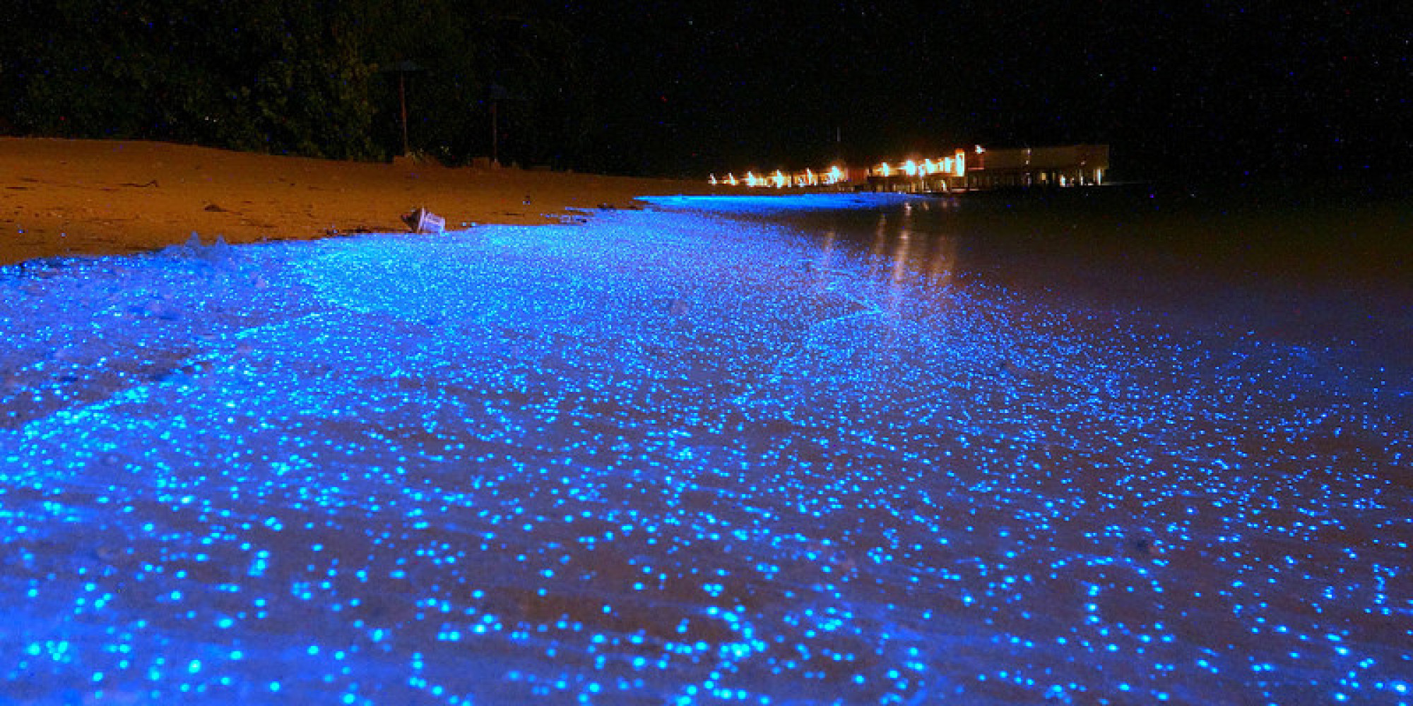 Theres A Glow In The Dark Beach In The Maldives Yes Really Huffpost 