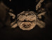 These Spooky, Surreal Gargoyles Are Watching You From Above (PHOTOS)