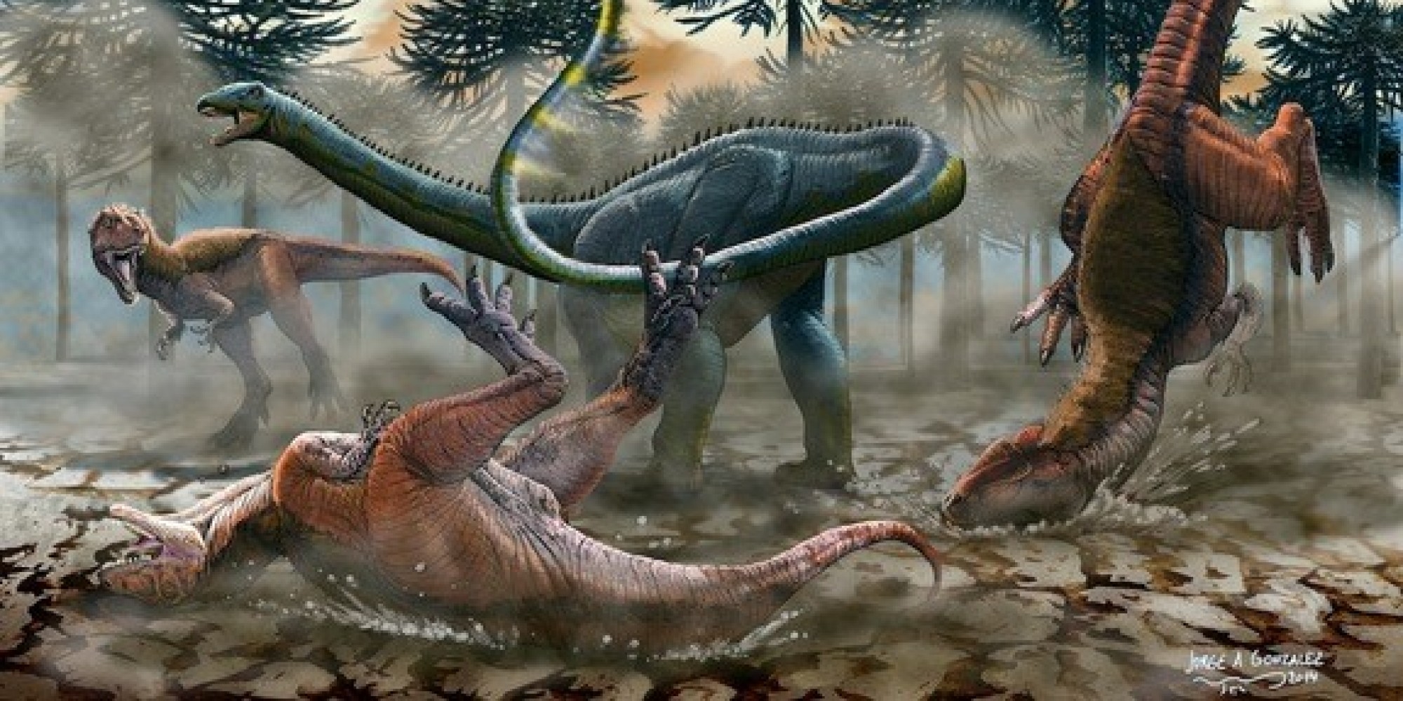 LongNecked Sauropod Dinosaur Unearthed In Argentina