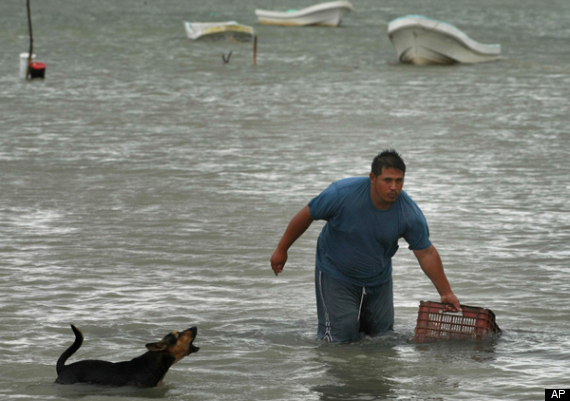 Hurricane Alex