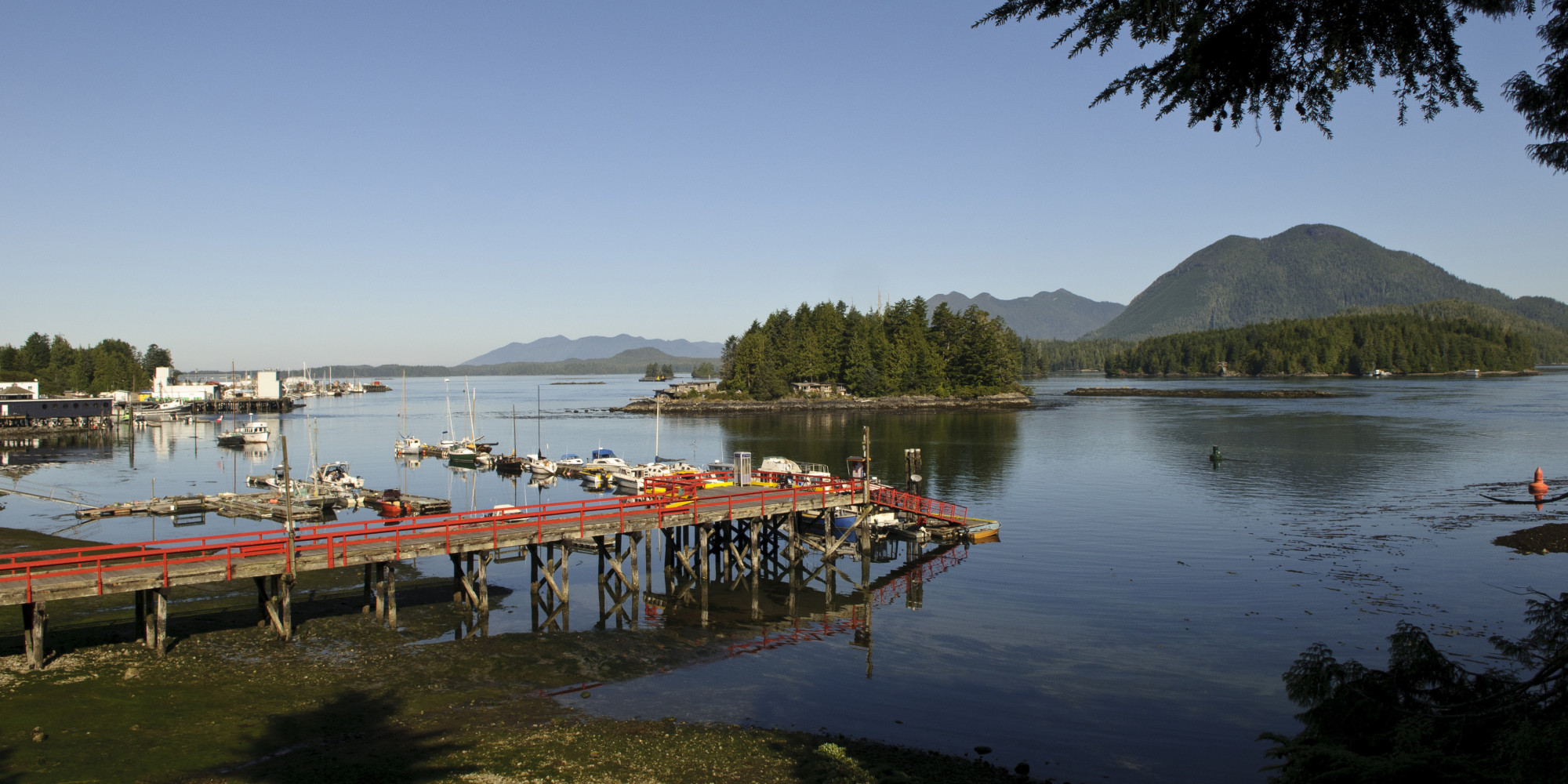 10 Reasons Why You Should Go To Vancouver Island In June HuffPost