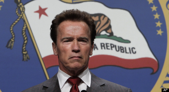 Angry Schwarzenegger