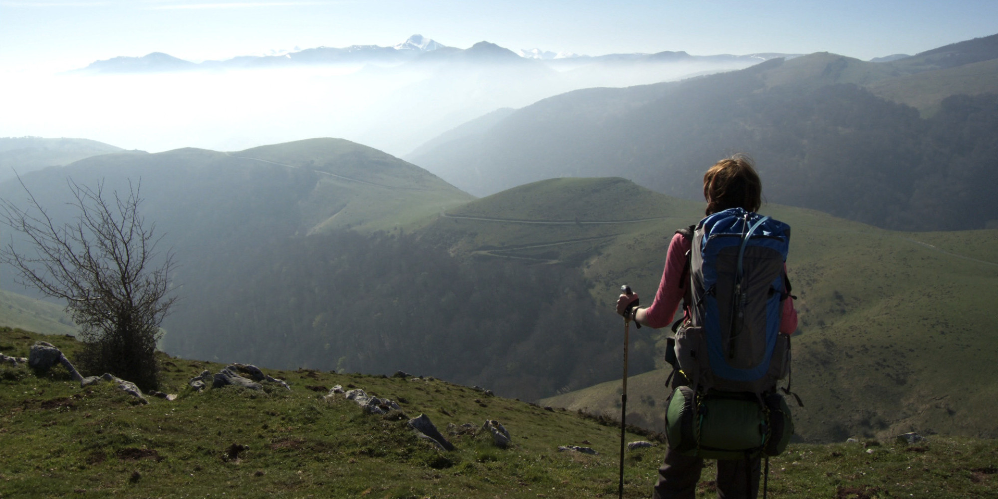 'Walking The Camino' Documentary Offers A Glimpse At Real Life On The ...