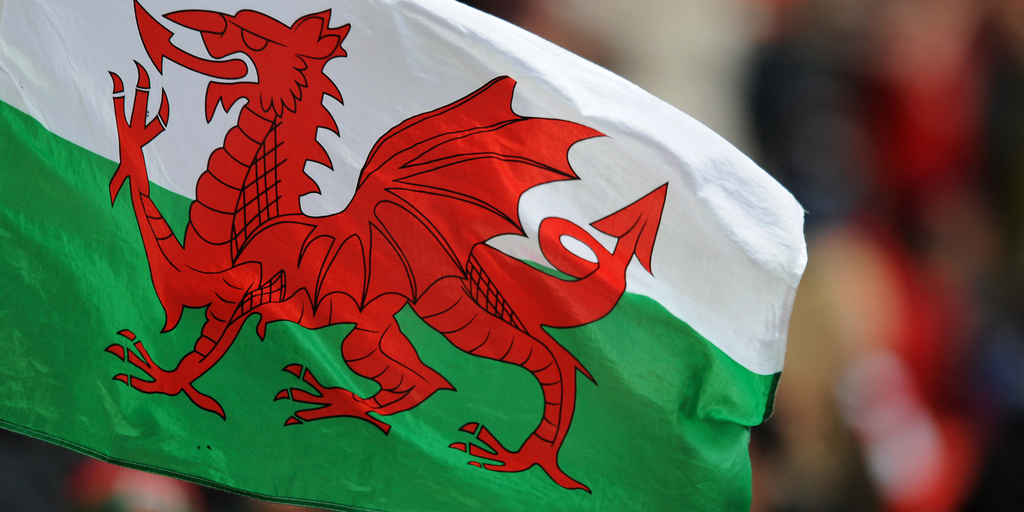 the-welsh-dragon-flag-is-the-devil-and-should-be-changed-says