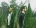 Odesza's 'My Friends Never Die' Sets The Duo Up For Electro-Stardom