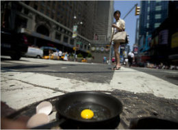 Fried Egg Sidewalk