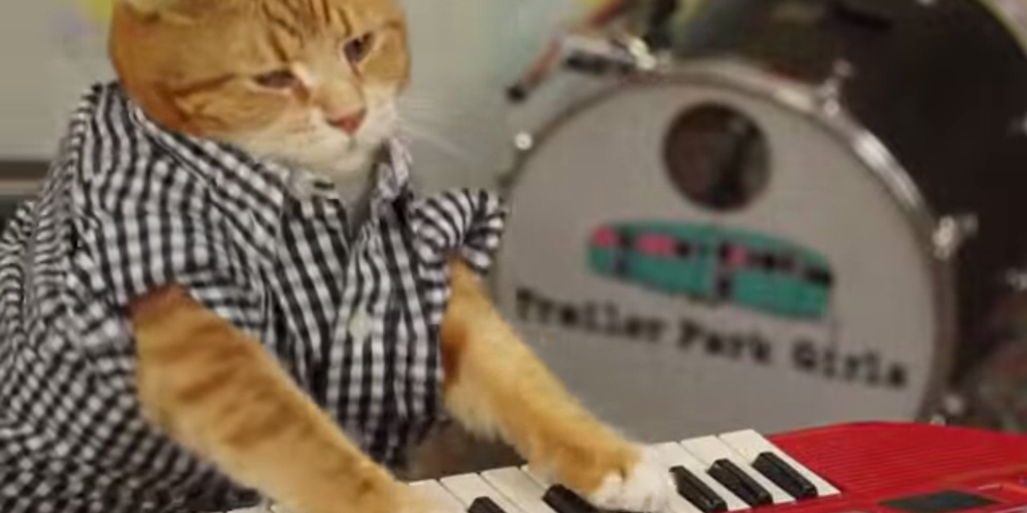 Keyboard Cat Returns For His Seventh Anniversary (VIDEO) | HuffPost UK