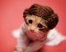 What's Better Than 'Game of Thrones' And 'Star Wars'? All That Plus Some Kittens, Obvs