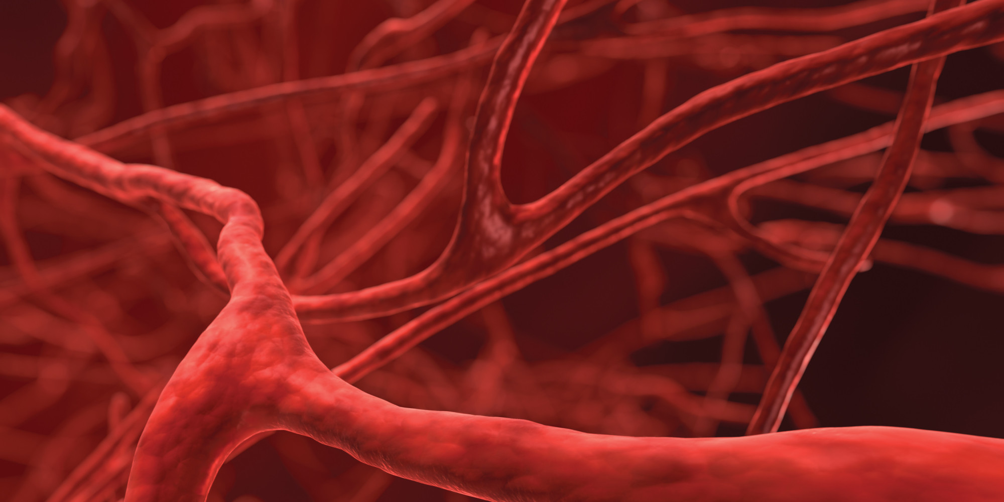 Scientists Can Now 3d Print Human Blood Vessels Huffpost Uk