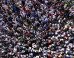 Investment Crowdfunding Draws