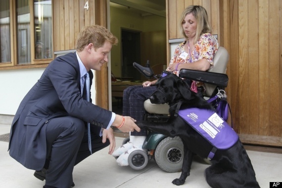 Prince Harry Superdogs