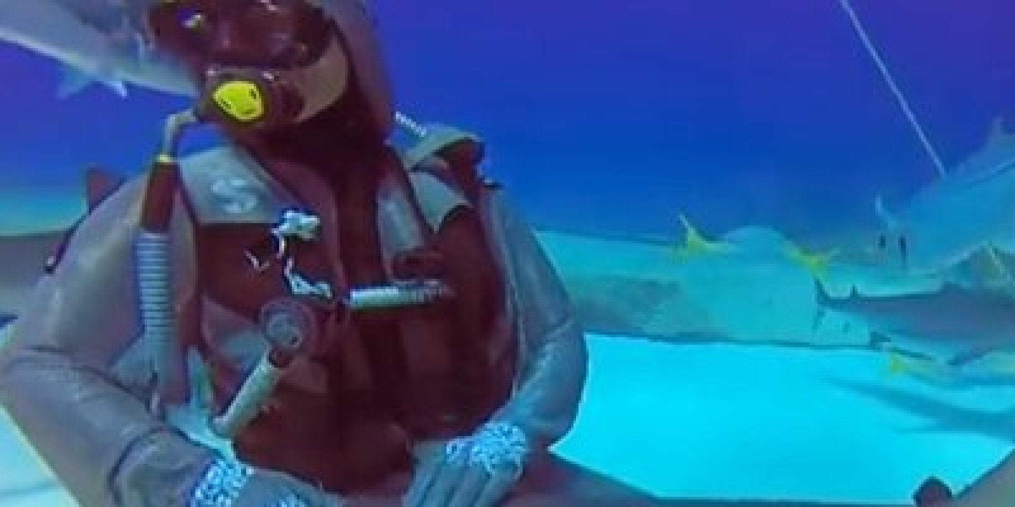 This Diver Is Not Getting Attacked By A Shark (We Promise) | HuffPost