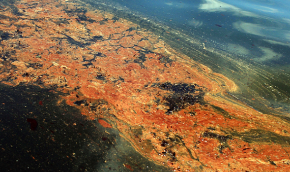 Oil Spill