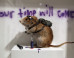 The First Unauthorized Banksy Retrospective To Be Held At Sotheby's