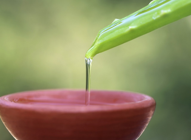 aloe vera