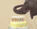This Is The Fastest Way To Cut A Cake (VIDEO)