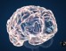 Human-Alien Hybrids Connect With Quantum Computer: Science Fiction Or The Future?