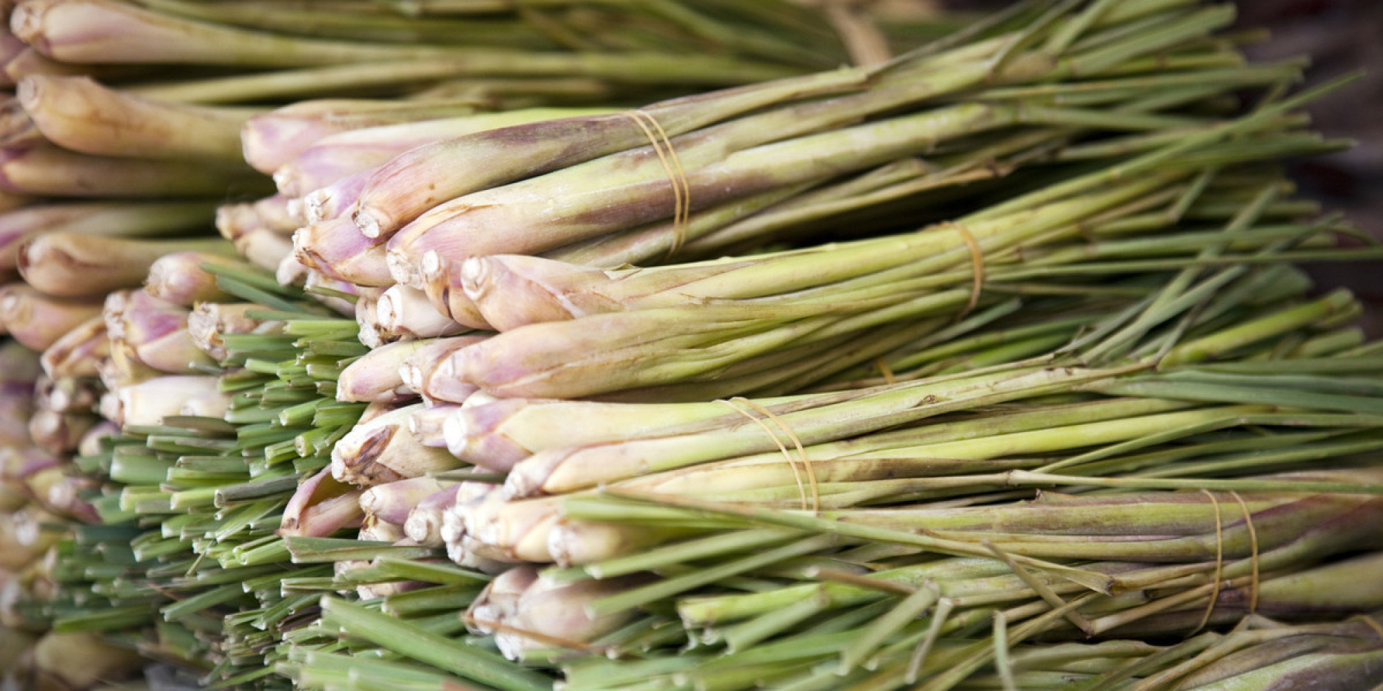 what-is-lemongrass-essential-oil-good-for-health-natural-health-and