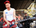 Bleachers Released Another Song Of The Summer Because Why Not?