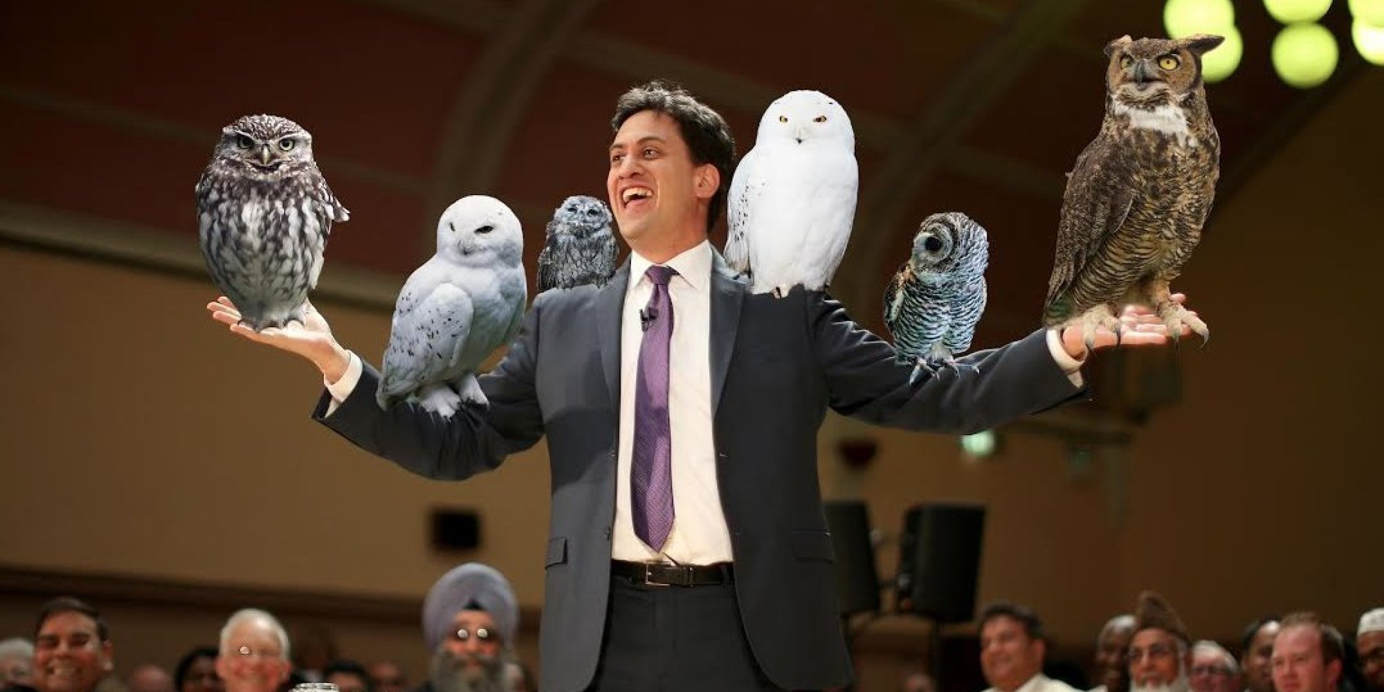 Labour Has Promised To Give Everyone An Owl Entire British Public Now
