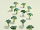 People Who Eat Broccoli Are Happier