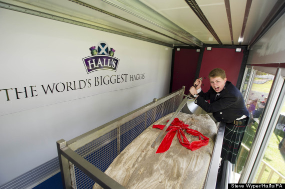 haggis