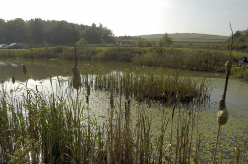 eau et agriculture