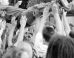 Scientist Tries To Crowd Surf To Handel's 'Messiah,' Gets Kicked Out Of Concert By Concertgoers