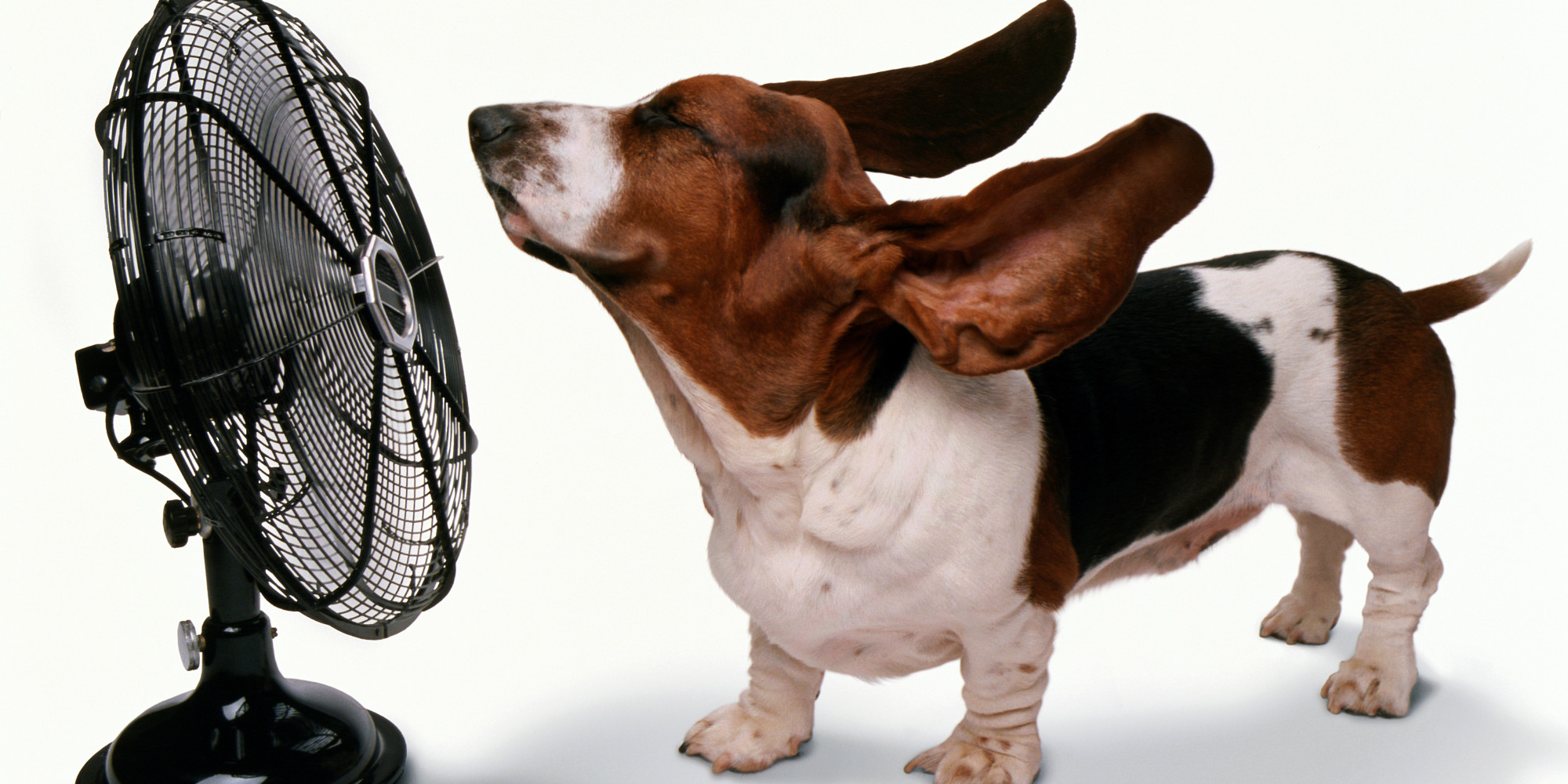 Sin aire acondicionado: diez trucos para mantener tu casa fresca