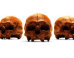 We Never Thought We'd Say This, But These Skulls Look Good Enough To Eat