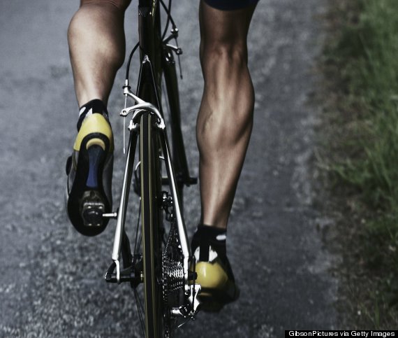 leg muscles bike