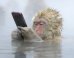 These Are Some Of The Past Year's Most Spectacular Wildlife Photographs. Could You Pick A Favorite?