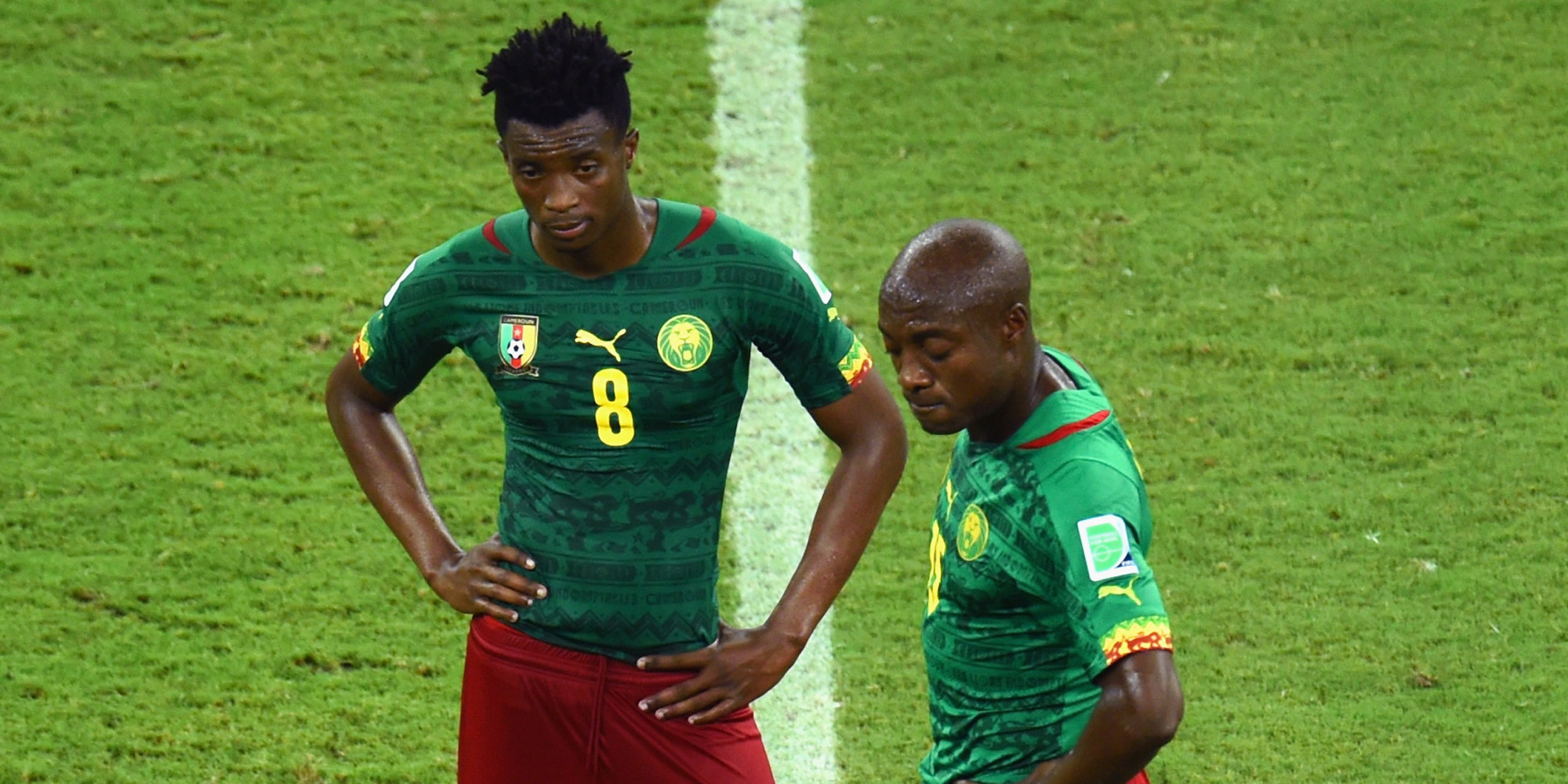 World Cup 2014 Cameroon Football Federation Probe Match