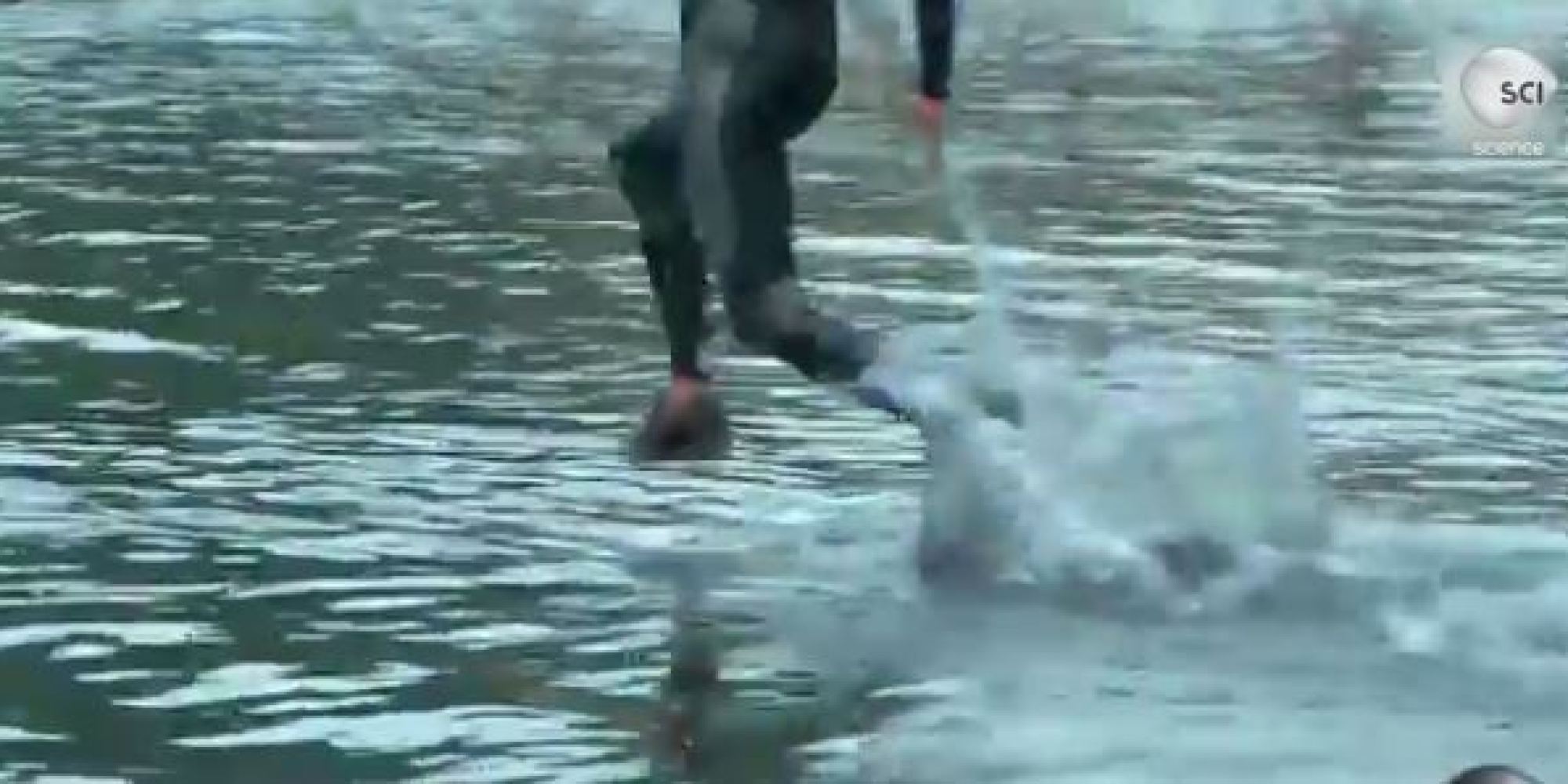 Run On Water? You Would Have To Run Pretty Fast (VIDEO)