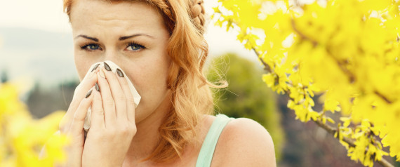 Could This Simple Juice Help Ease Hayfever Symptoms? - n-HAYFEVER-large570