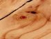 There's An Entire World Of Psychedelic Wonder Hiding In This Piece Of Wood