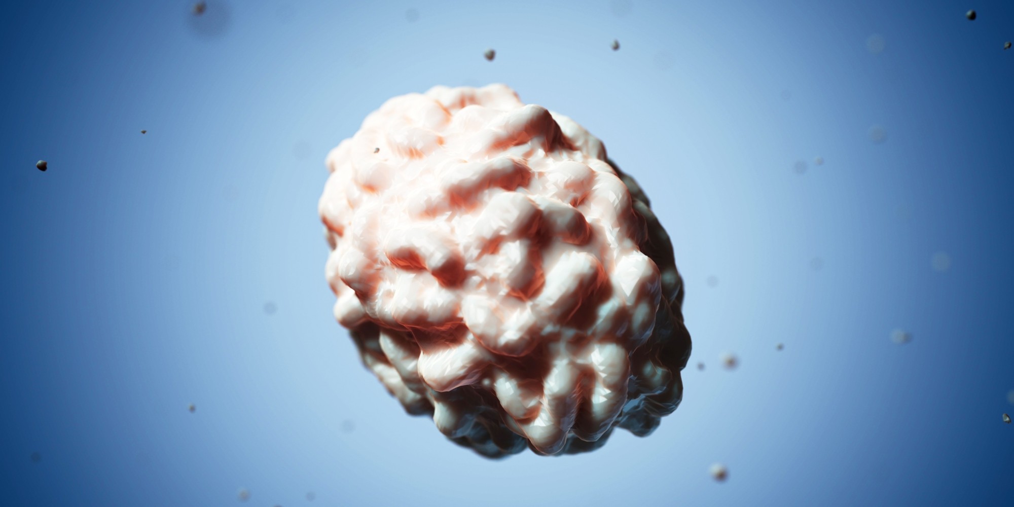 Deadly Smallpox Virus Samples Discovered In Forgotten Storage Room | HuffPost UK