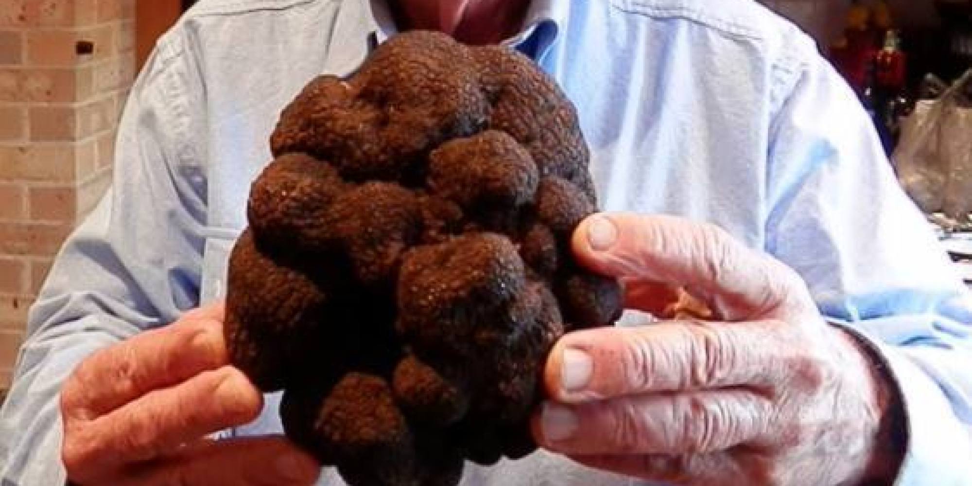 How Much Do Real Truffles Cost at Shirley Austin blog