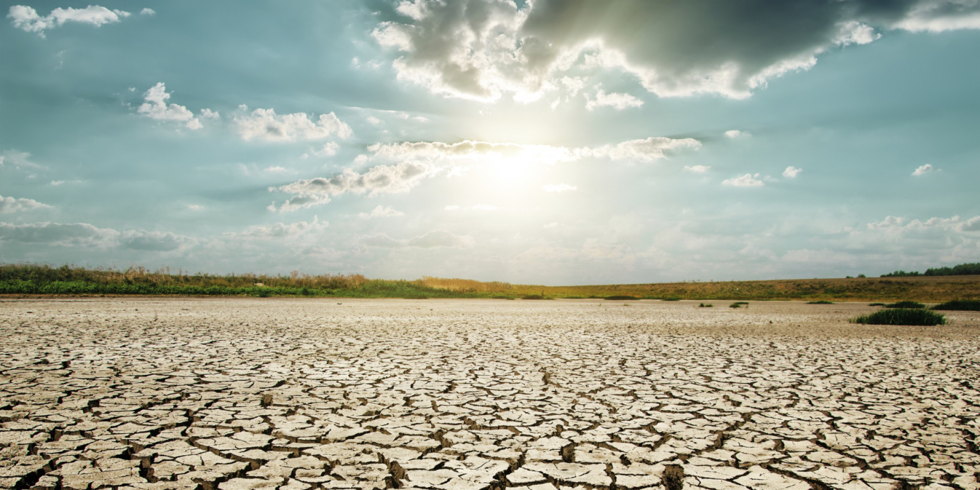 how-to-stop-water-runoff-from-your-neighbor-s-yard-my-backyard-life