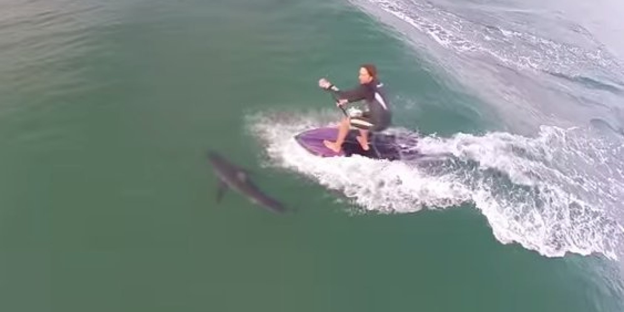 StandUp Paddleboarder Almost Runs Over Shark And Has No Idea (VIDEO)