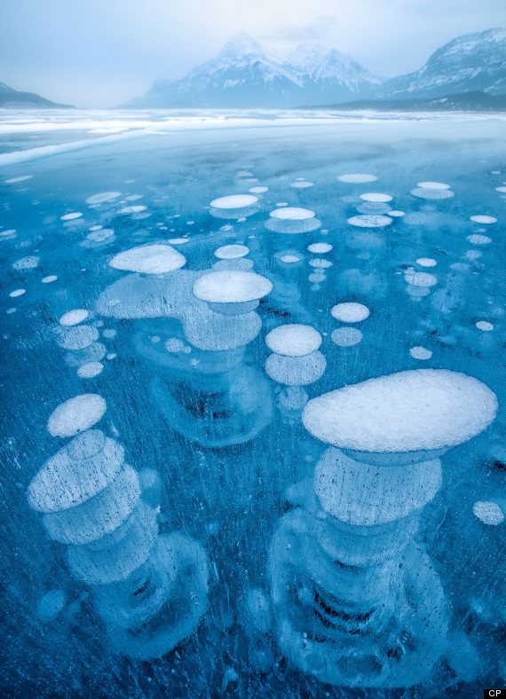 lake abraham ice cp